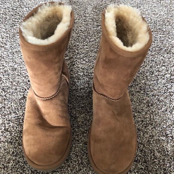 Short classic chestnut UGG boots - Picture 6 of 7